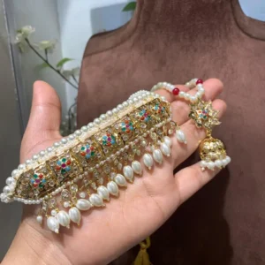 Erum Multicolour Choker set with pearl drops, coloured stones and gold-plated jadau panel